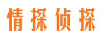 浪卡子市场调查